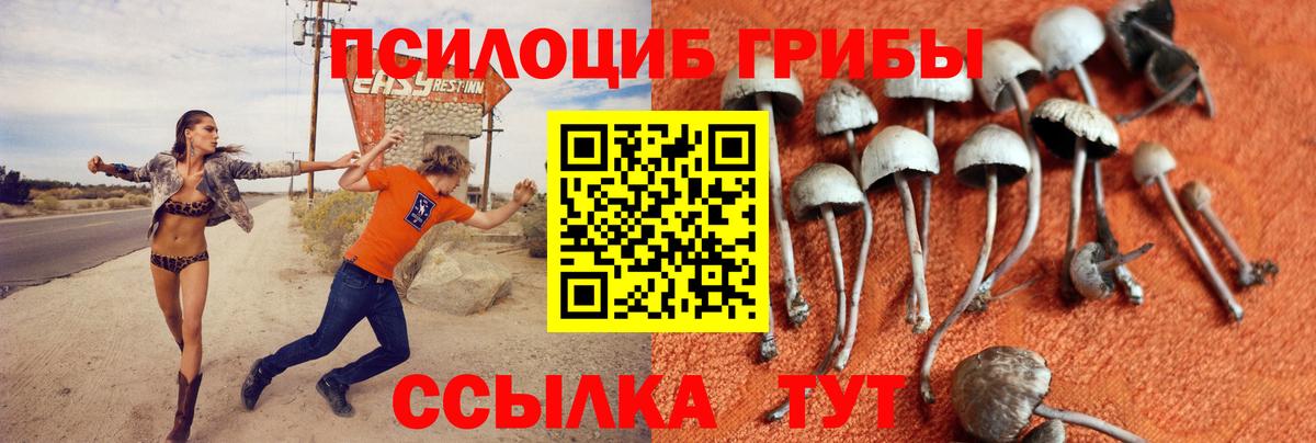 Минусинск  Галлюциногенные грибы Cubensis  Вход с VPN 